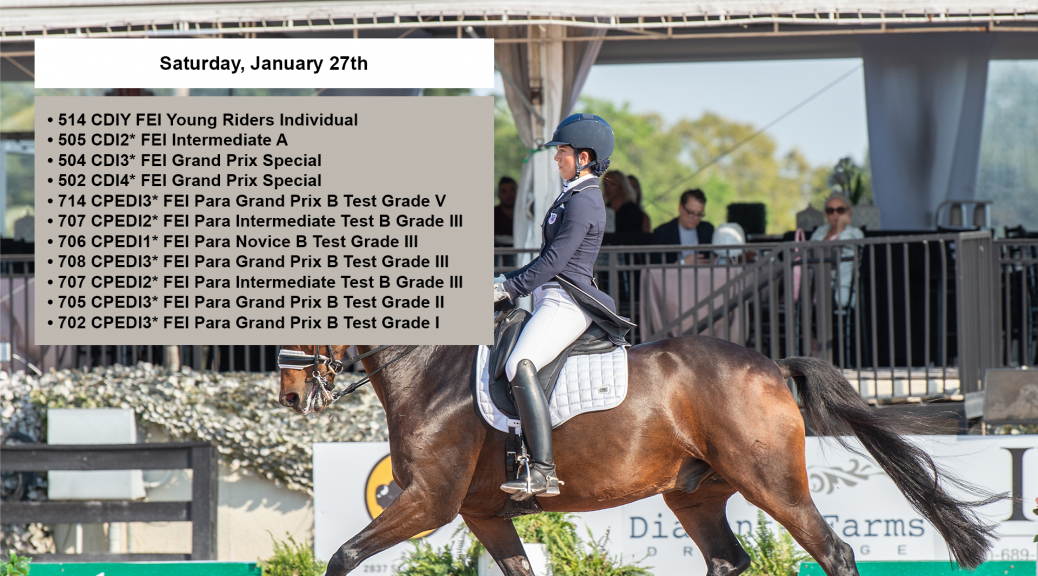 Global Dressage Festival LLC