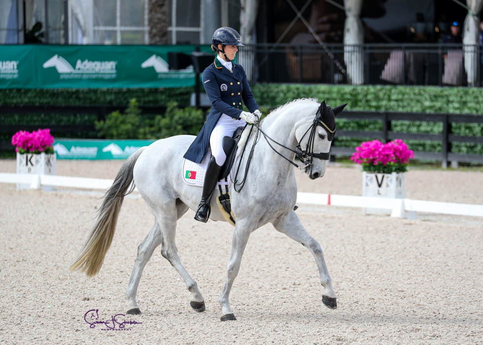 スポーツ・フィットネス Enjoying Dressage ayt90qf9mgeytzjjuwff