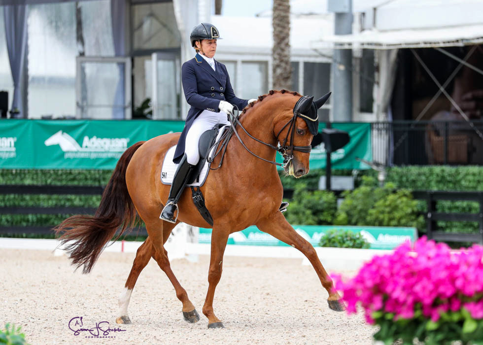 スポーツ・フィットネス Enjoying Dressage Fourth Edition of Mid-Atlantic Dressage Festival & Lexington