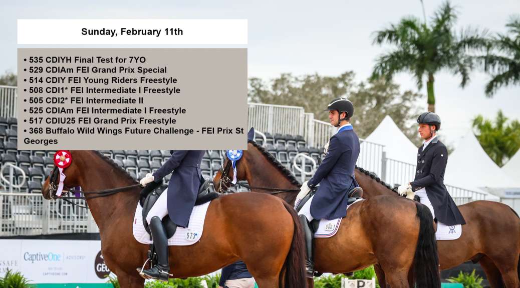 Global Dressage 2024 Schedule In India Hilde Laryssa