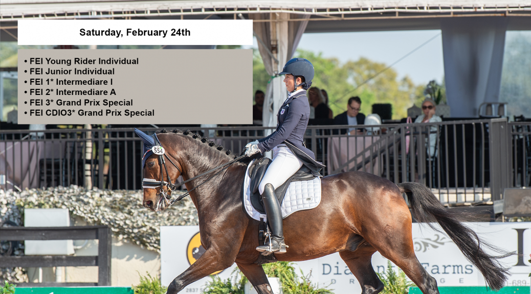 Global Dressage Festival LLC