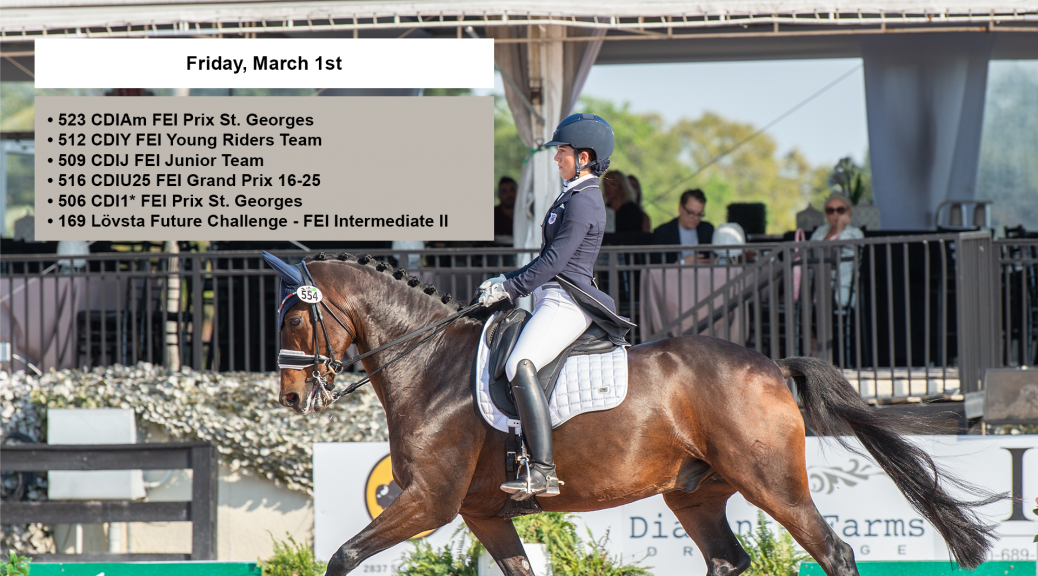 Global Dressage Festival LLC