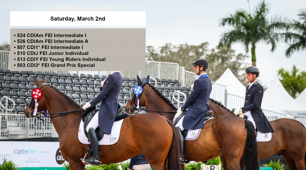 Global Dressage Festival LLC