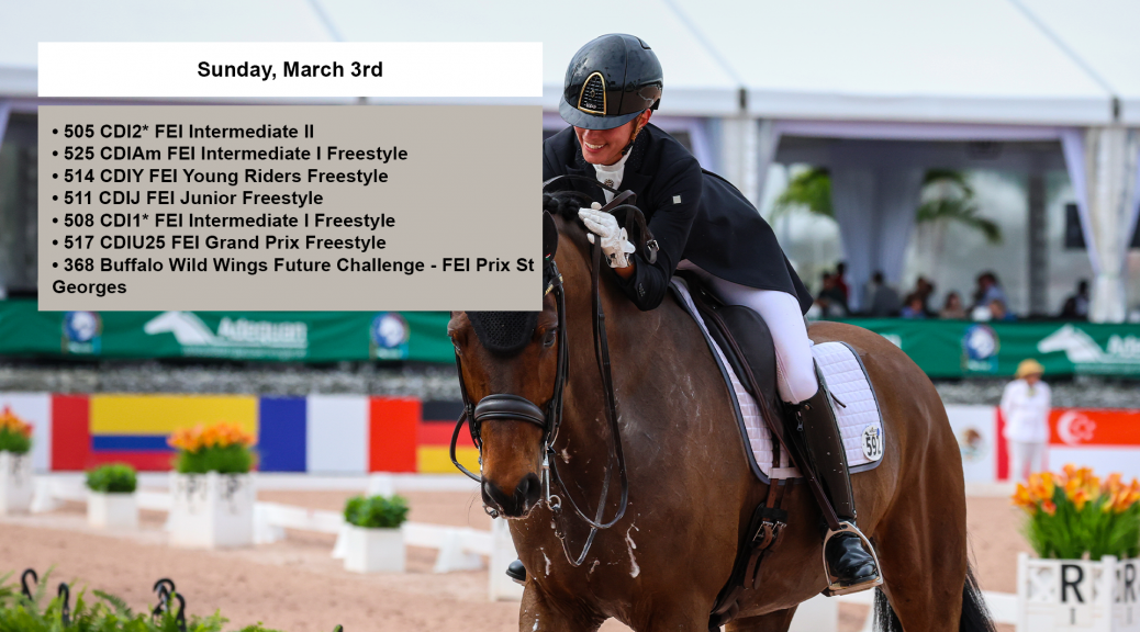 Global Dressage Festival LLC