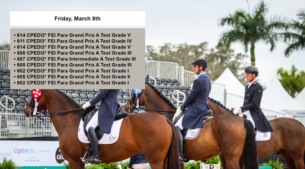 Global Dressage Festival LLC