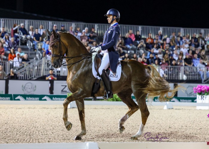 スポーツ・フィットネス Enjoying Dressage 2 Plus-80% Personal Best Hands World Cup Grand Prix Freestyle to