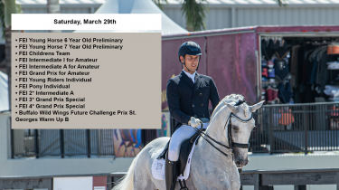 Global Dressage Festival LLC