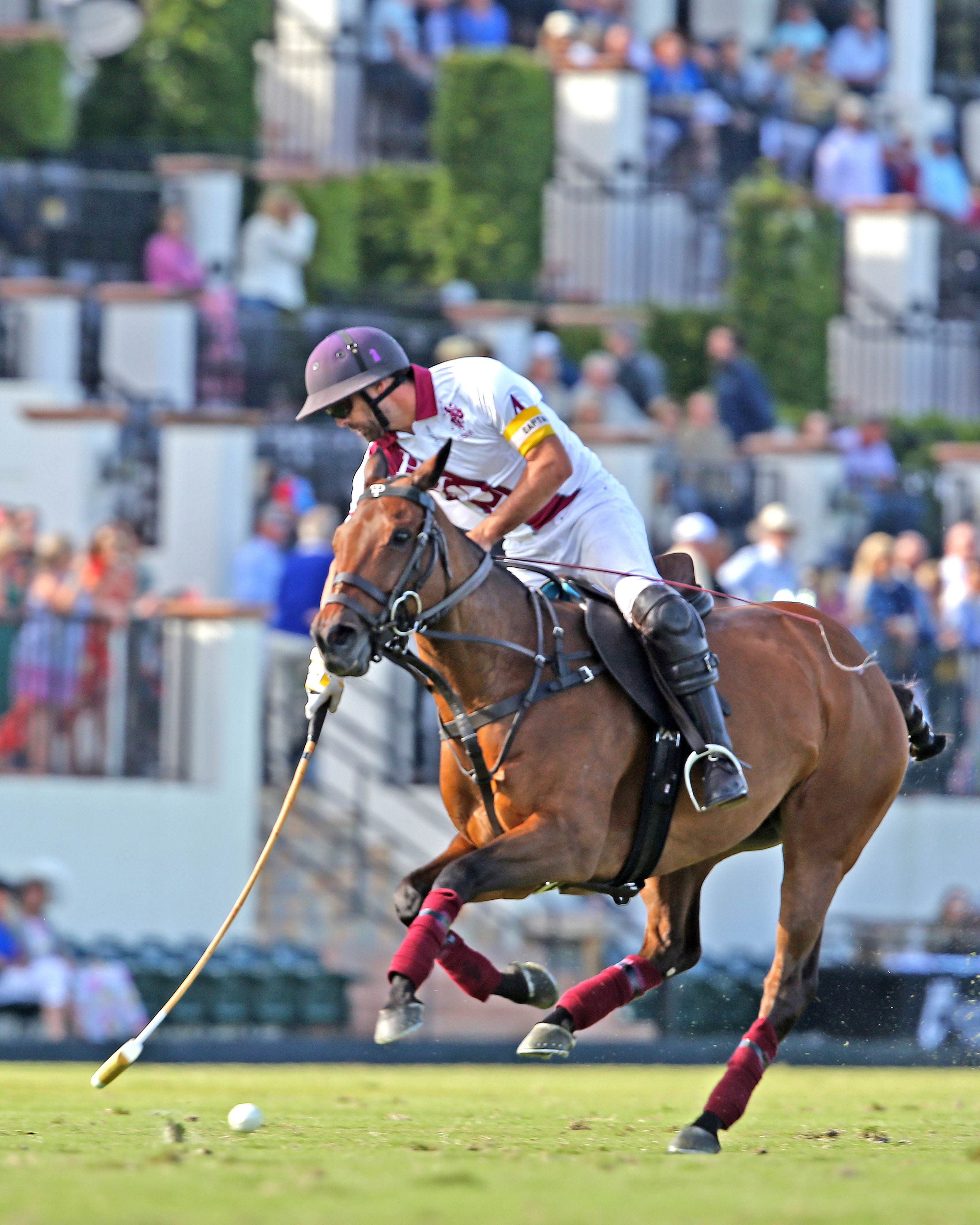 Pilot enters the semifinals of the 2020 USPA Gold Cup® as the only undefeated team. ©Alex Pacheco