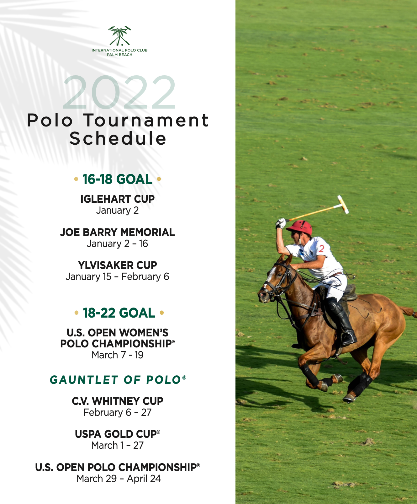 Screen Shot 2021-10-18 at 11.26.07 AM